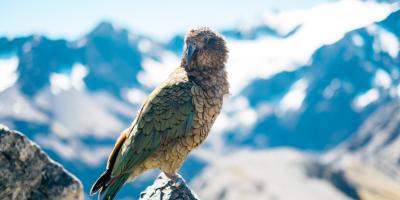 Автосалон новых машин: ваша мечта на колёсах!